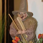 Zum Lukullus